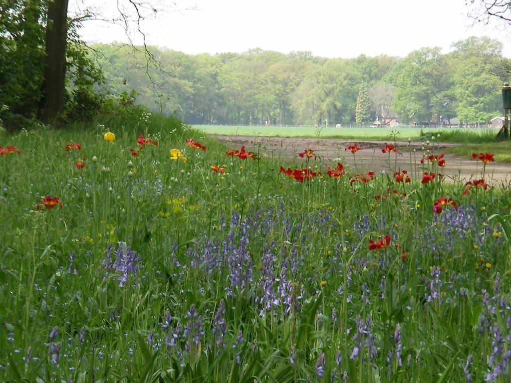 Twentekiek Villa Delden Oda fotoğraf